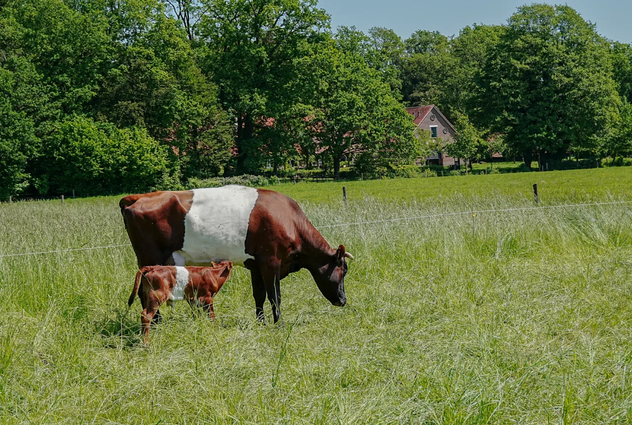  - Enschede Promotie